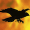 A Crow in Hell