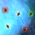 Firefly Collector TOURNOI ETE*