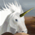 Horse Racing: Money at end