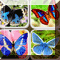 Mt Butterfly (by wogegame) 1
