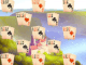 River Solitaire*