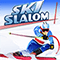 SkiSlalom