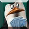 Skipper Skidoo