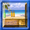 Ultimate Coconut Shooter TOURNOI ETE
