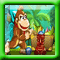 Donkey Kong Jungle Ball