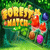 Forest Match Level 7