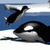 Yeti Sports 14 - Orca Slap